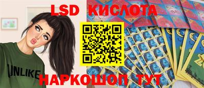 Альфа ПВП Новозыбков