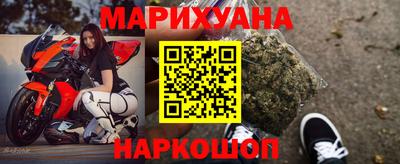 Альфа ПВП Новозыбков
