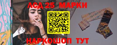 Альфа ПВП Новозыбков