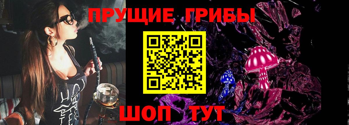 Псилоцибиновые грибы GOLDEN TEACHER  Галлюциногенные грибы Cubensis  Ртищево  Вход с VPN 